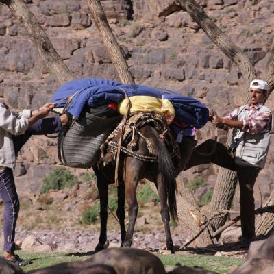 Trek dans le Djebel Saghro (Maroc)