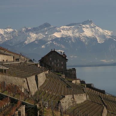 Vue du Lavaux