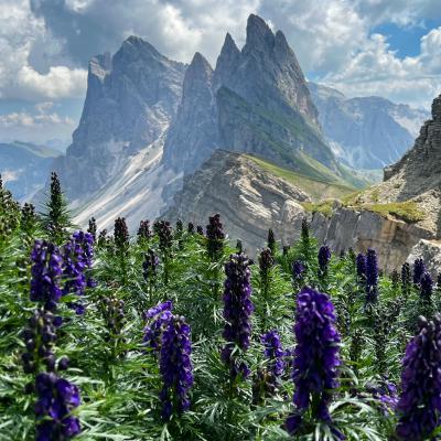 Trek dans les Dolomites
