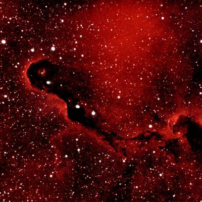 La nébuleuse de la trompe d'éléphant, 45 poses de 60 secondes, caméra refroidie.