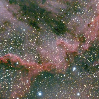 Détail dans la Nébuleuse Amérique du Nord, 60 poses de 60 secondes, caméra refroidie.